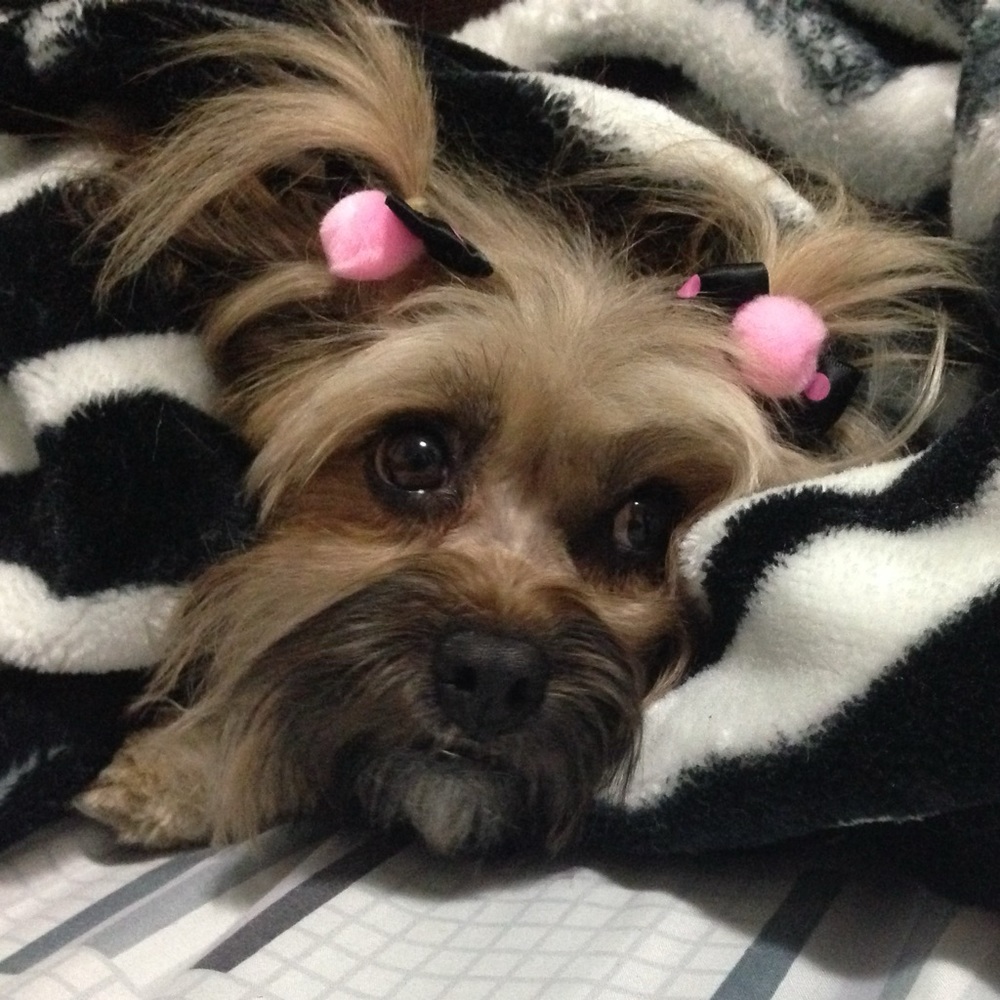 Meet your Posher, Louisa